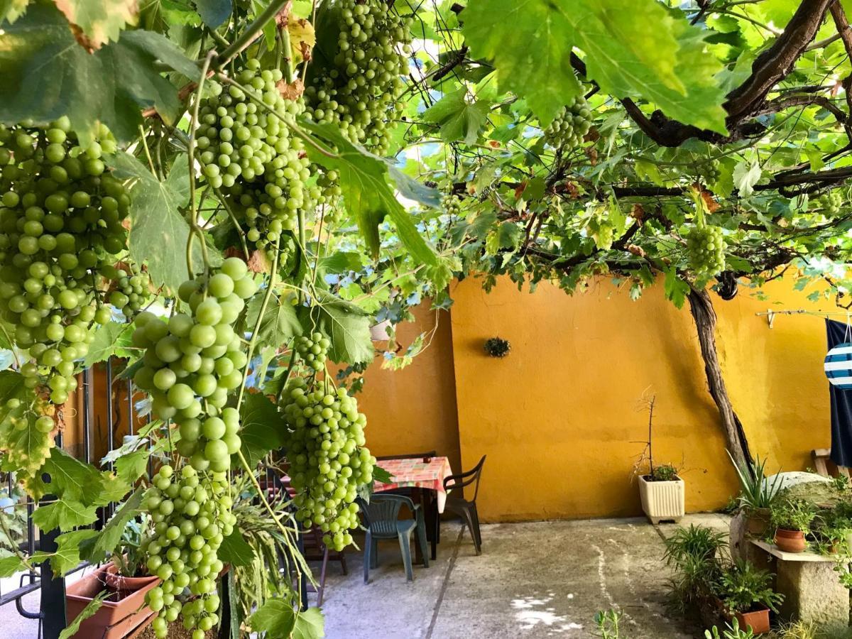 Olivar Appartement